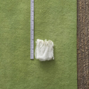 Merino Wool Facts Image